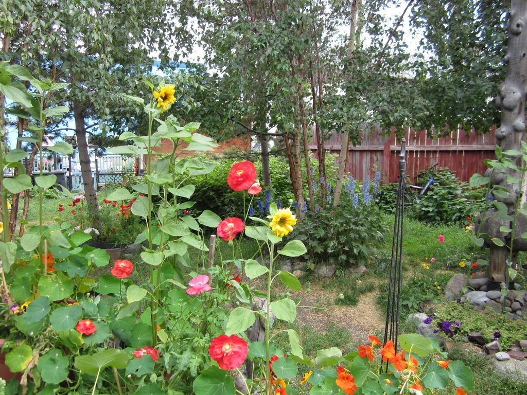Historical Guest House Whitehorse Exterior foto